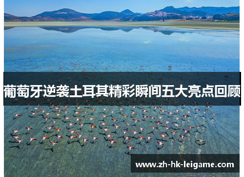 葡萄牙逆袭土耳其精彩瞬间五大亮点回顾