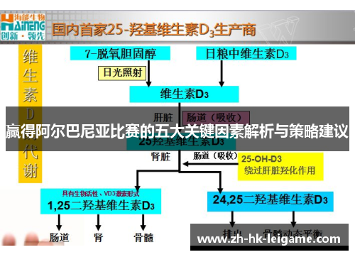 赢得阿尔巴尼亚比赛的五大关键因素解析与策略建议