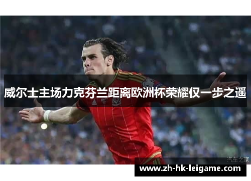 威尔士主场力克芬兰距离欧洲杯荣耀仅一步之遥 威尔士主场力克芬兰距离欧洲杯荣耀仅一步之遥